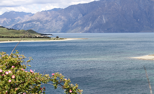 New Zealand coastline/