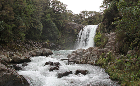 Waterfall in New Zealand/
