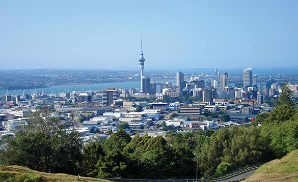 Auckland city landscape/