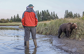Coastal Brown Bear Viewing