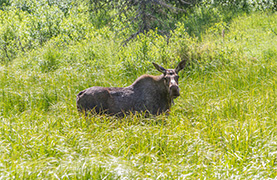 Self Drive Wilderness Experience