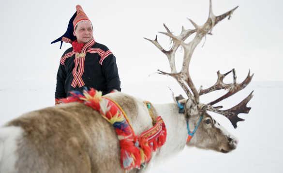Sami man standing with a reindeer in Finnmark/