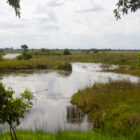 A wide view of a calm river winding through a lush green marshland under a cloudy sky.