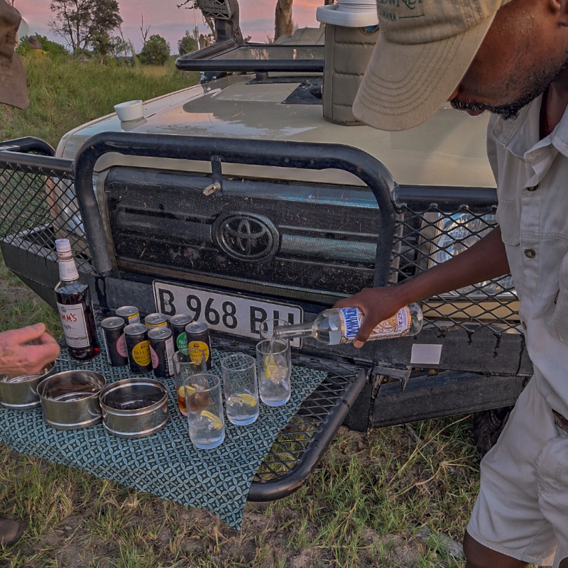 A safari guide pouring a drink into a glass on a makeshift bar setup resting on the front bumper of a vehicle.