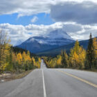 An empty two-lane asphalt highway stretching toward a massive snow-covered mountain peak flanked by autumn trees.