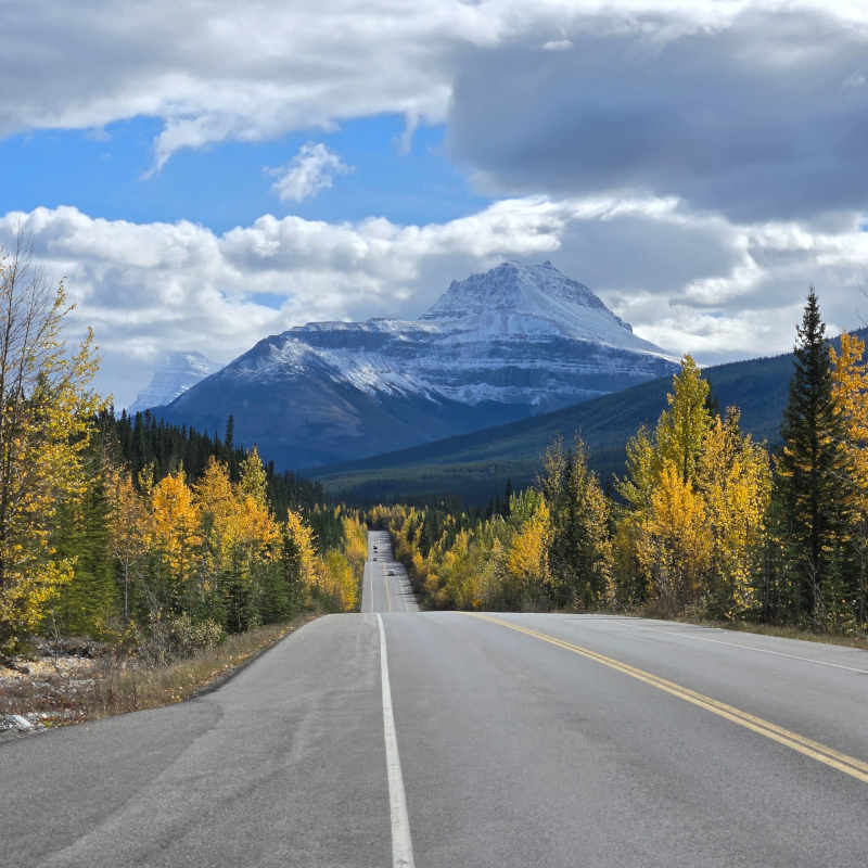 An empty two-lane asphalt highway stretching toward a massive snow-covered mountain peak flanked by autumn trees.