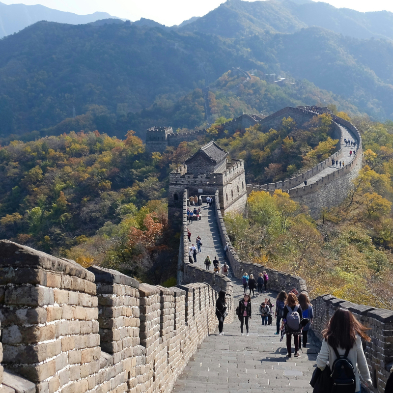 Great-wall-of-China People walking along a stone pathway on the Great Wall of China as it snakes across steep, forested hillsides.