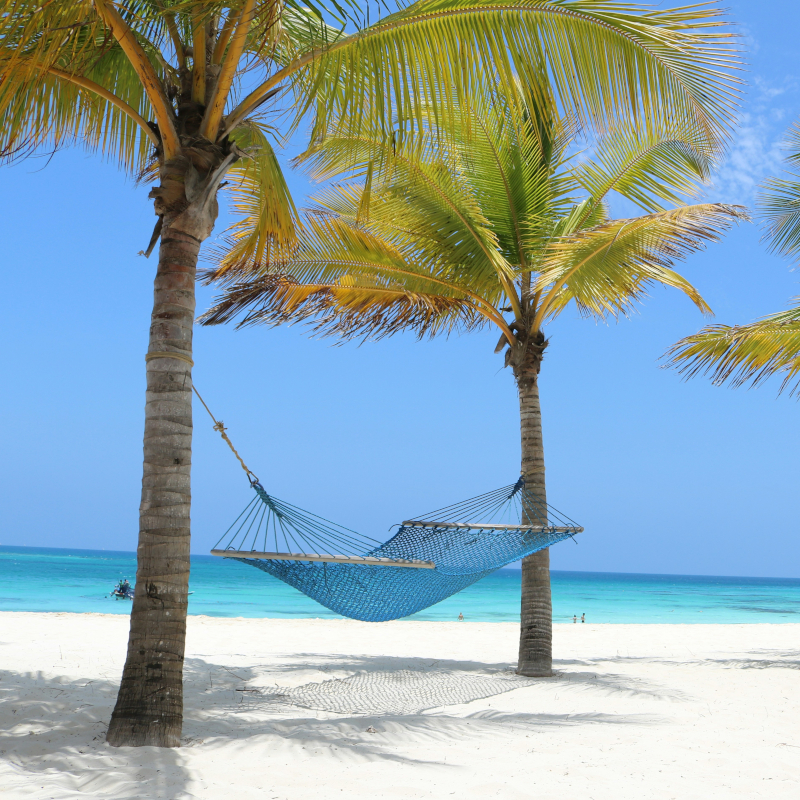 A bright blue woven hammock strung between two palm trees on a white sand beach next to clear turquoise water.