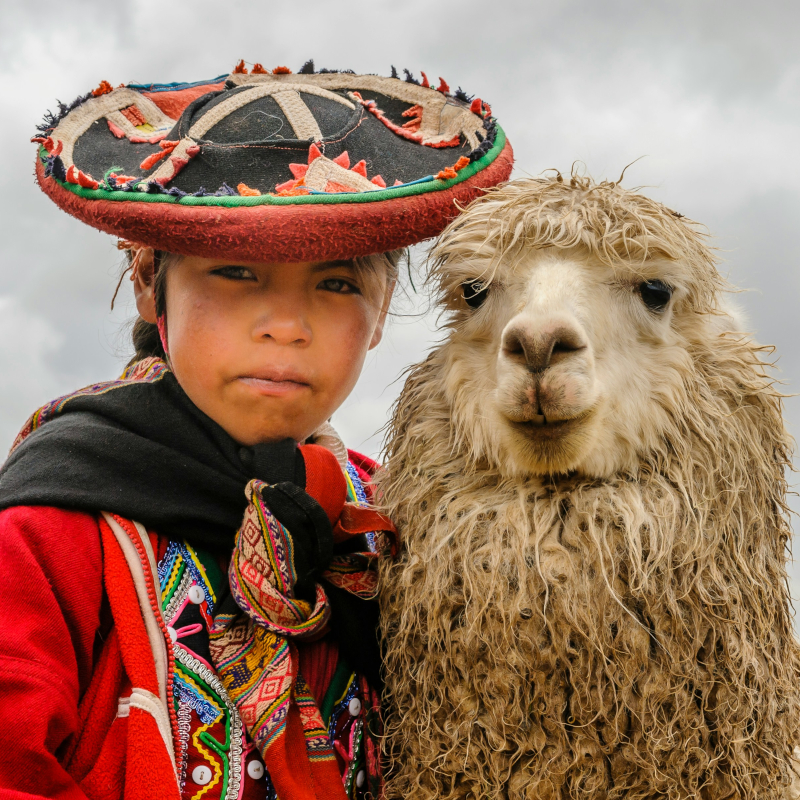 Peru-alpaca A close-up portrait of a young person wearing a decorative, colourful traditional hat and textile clothing next to a fluffy white alpaca.