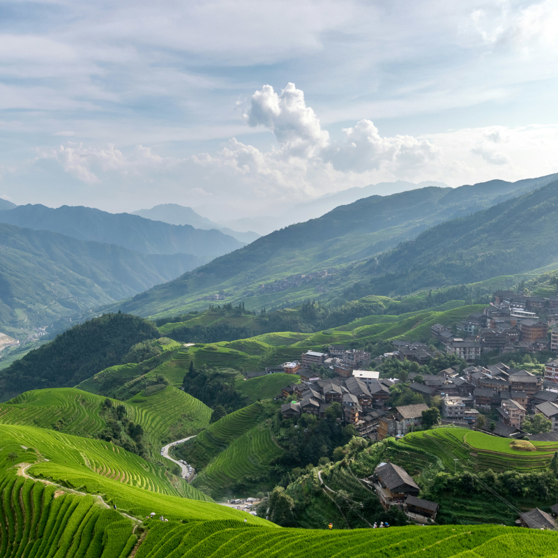 Rice-fields An expansive aerial view of lush, green terraced rice fields winding around a mountain village.