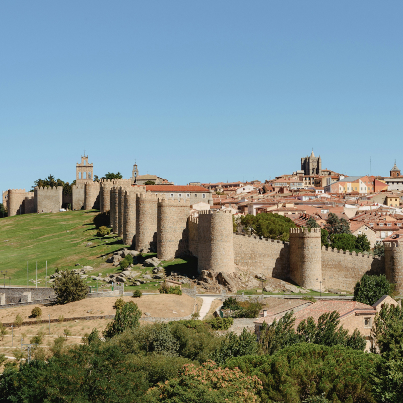 A sprawling, ancient stone fortress wall with rounded towers stretching across a grassy hill, overlooking a town with red-tiled roofs.