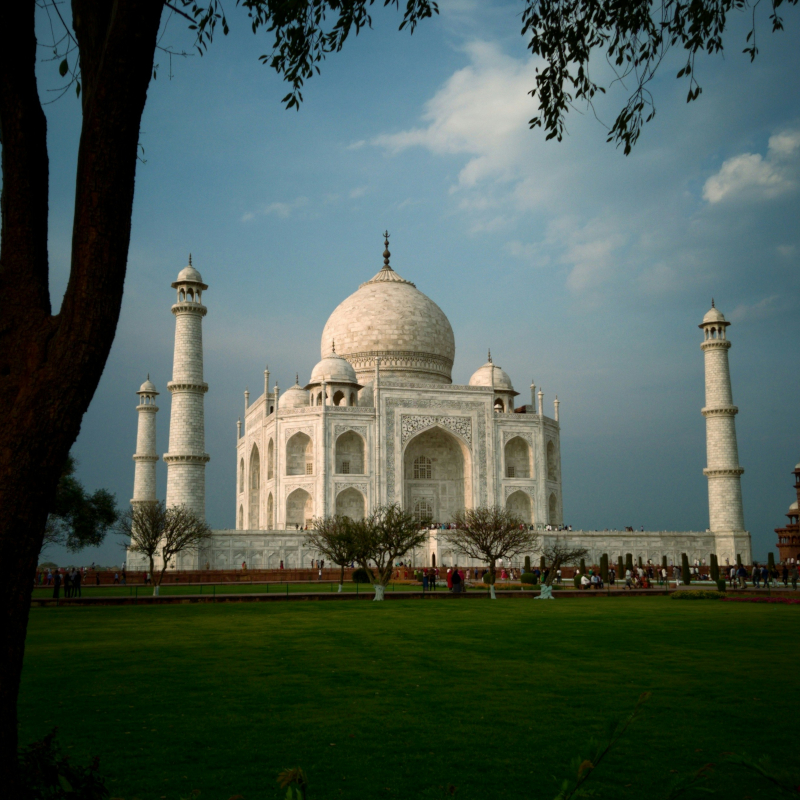 The iconic white marble Taj Mahal mausoleum under a partly cloudy sky, framed on the left by a dark tree trunk and branches.