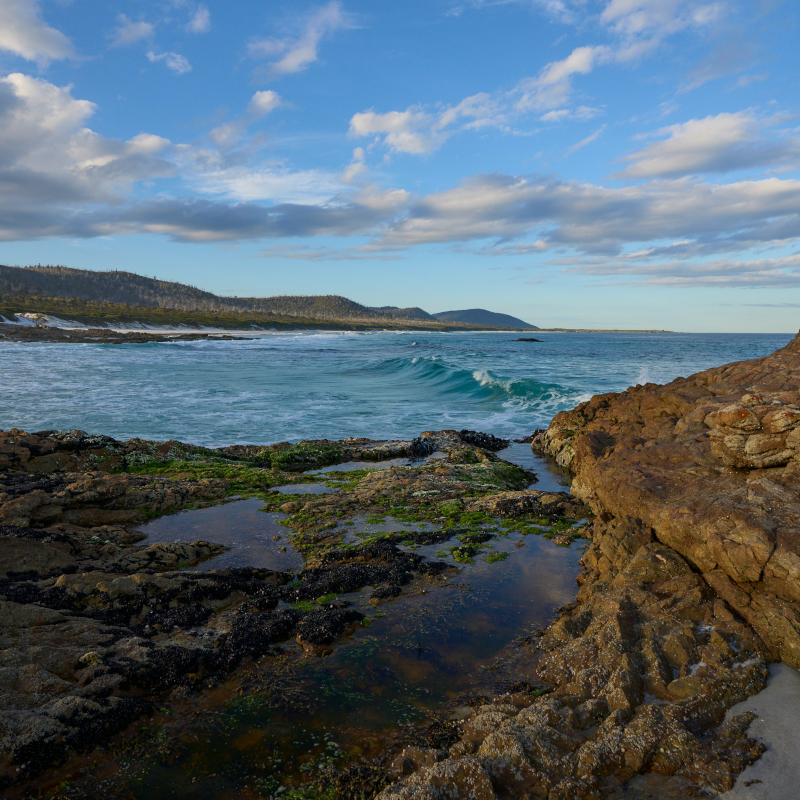 Mossy tide pools on a rocky shore overlooking incoming ocean waves and distant hills.
