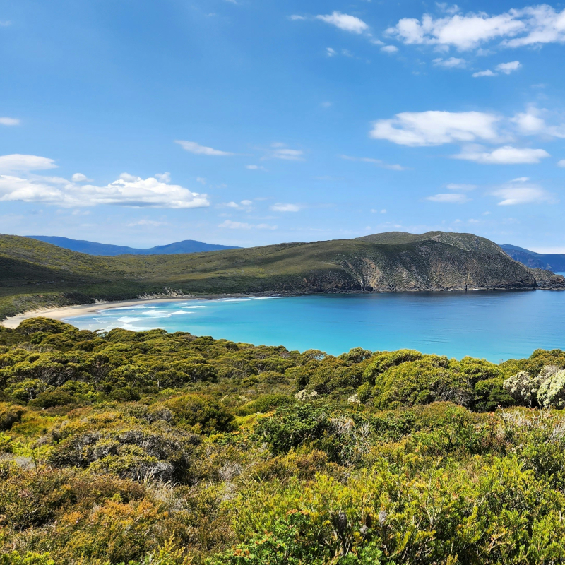 Tasmania-scenic High-angle view of a crescent-shaped white sand beach and turquoise water surrounded by green hills.