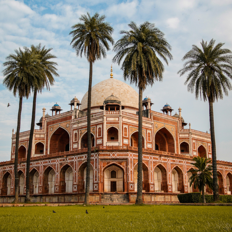 A symmetrical front view of the grand Humayun's Tomb, framed by four tall, slender palm trees on a grassy lawn under a soft sky.