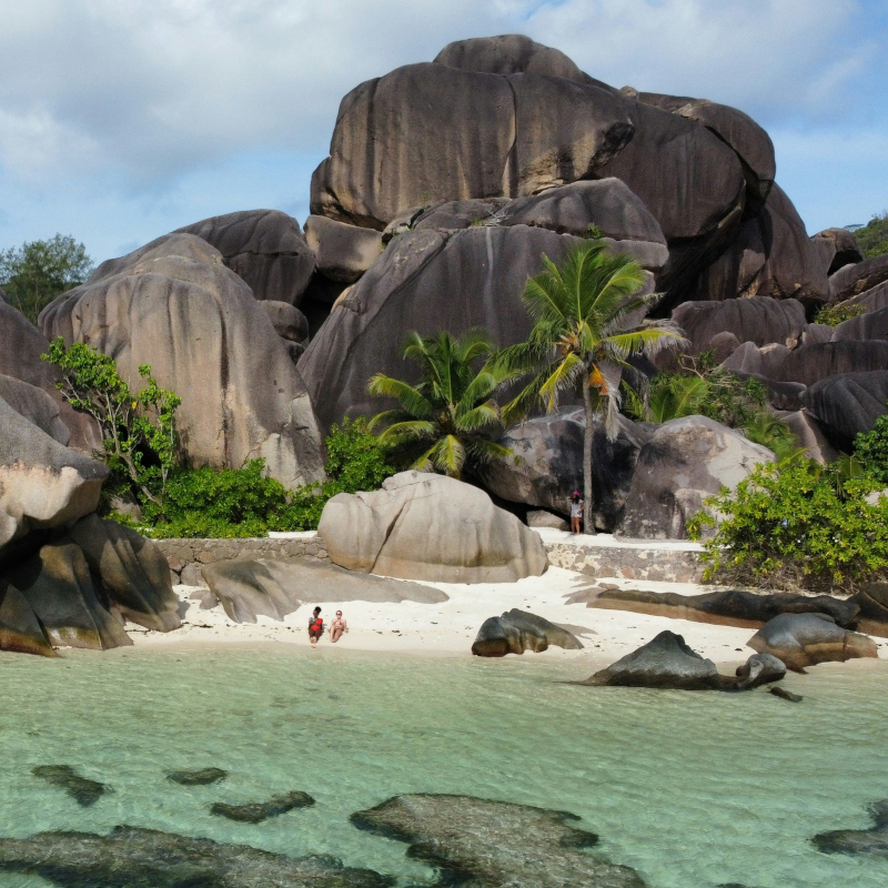 Seychelles-anse-source-d'argent-la-digue A sandy tropical beach nestled beneath towering, uniquely weathered dark granite boulders and lush palm trees.