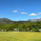 A wide open green lawn bordered by dense hedges and trees, looking out toward rugged mountains under a clear blue sky.